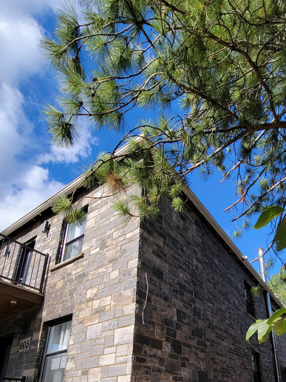 maconnerie appartement